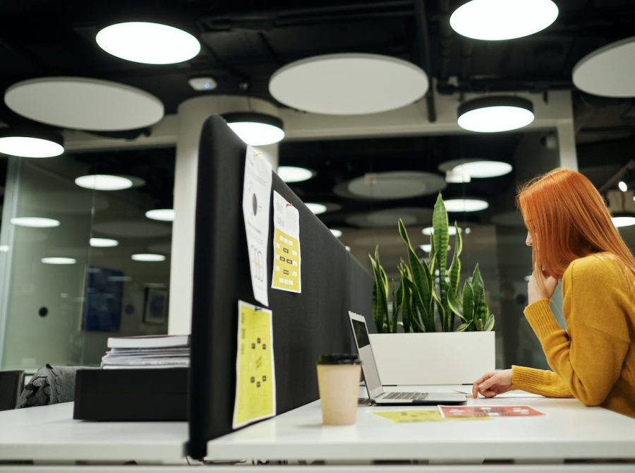 Mokymai jauniems specialistams: bereikalingas išlaidavimas ar investicija?